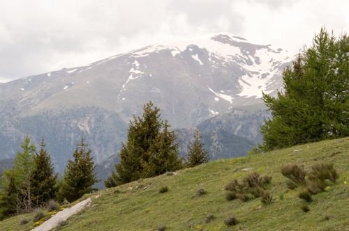 Randonnée Pédestre France
