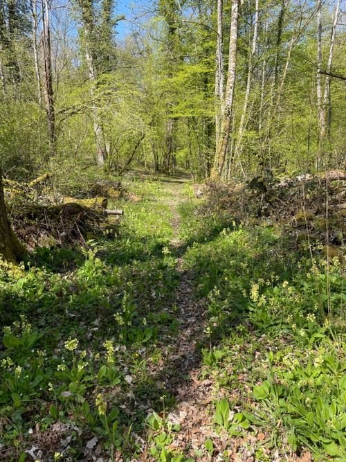 Randonnée Pédestre Haute-Marne