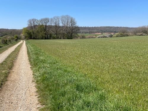 Randonnée Pédestre Haute-Marne