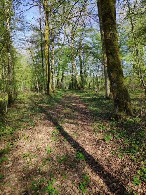 Hiking Haute-Marne
