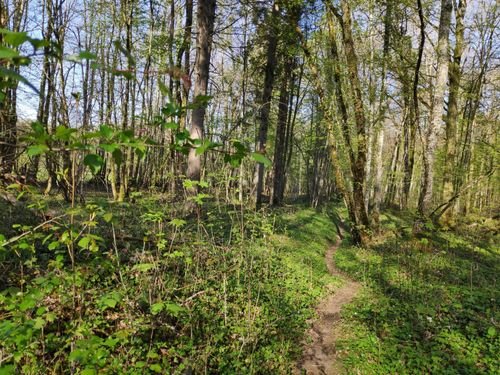 Randonnée Pédestre Haute-Marne