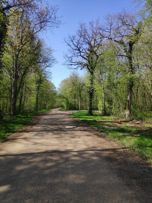 Randonnée Pédestre Haute-Marne