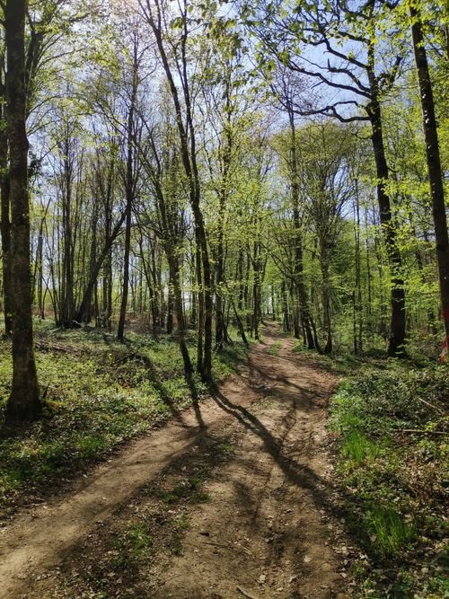 Randonnée Pédestre Haute-Marne