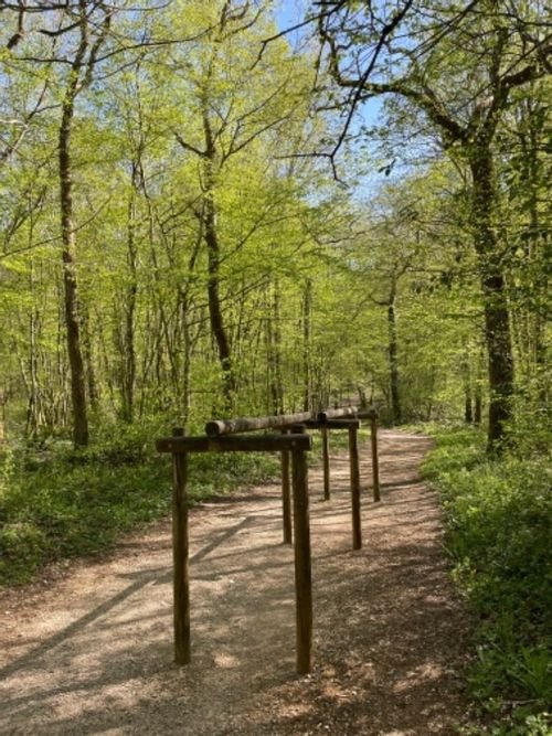 Walking Haute-Marne