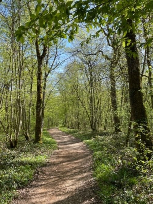 Promenade Haute-Marne