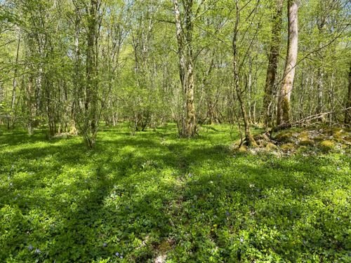 Randonnée Pédestre Haute-Marne