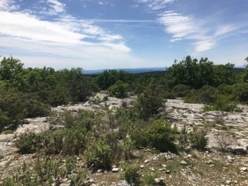 Promenade Alpes-Maritimes