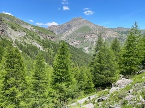 Hiking Saint-Étienne-de-Tinée