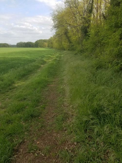Hiking Yonne