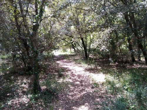 Walking Valbonne
