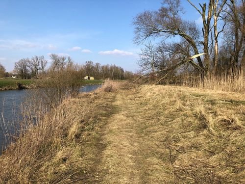 VTT Belgique
