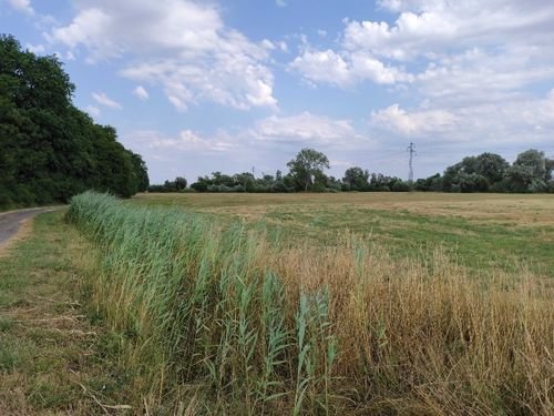Promenade Meurthe-et-Moselle