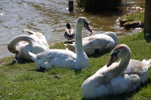 Promenade Territoire-de-Belfort