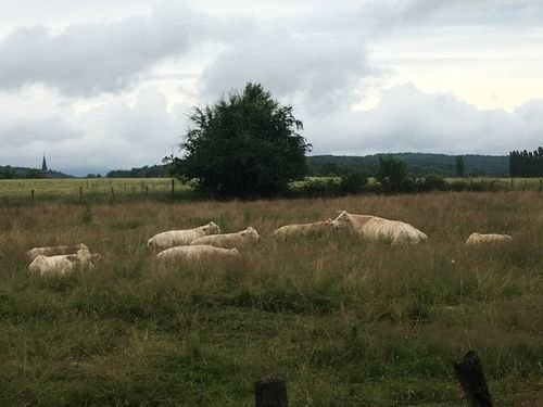 Walking Territoire-de-Belfort