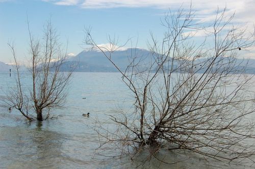 Promenade Italie