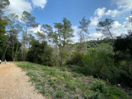 Walking Valbonne