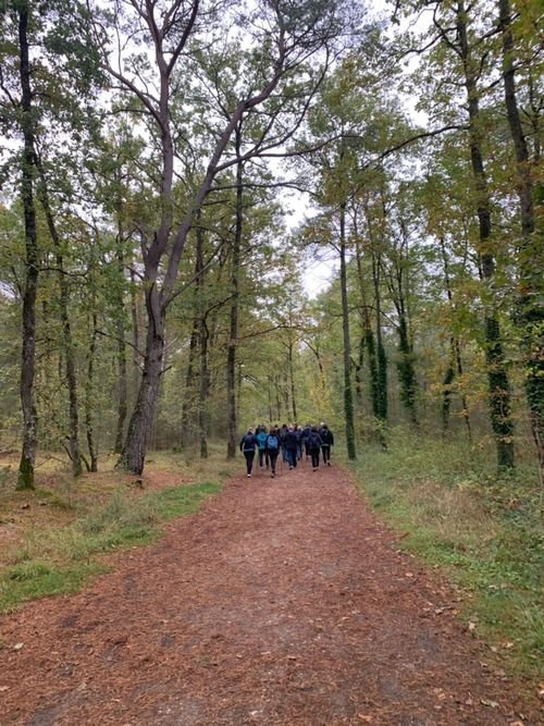 Hiking Ile-de-France