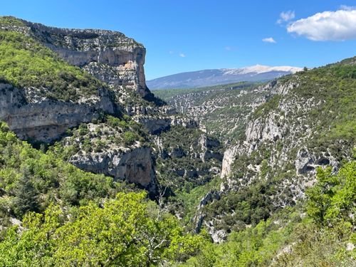 Randonnée Pédestre Vaucluse