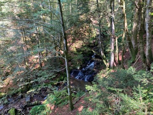 Hiking Lepuix