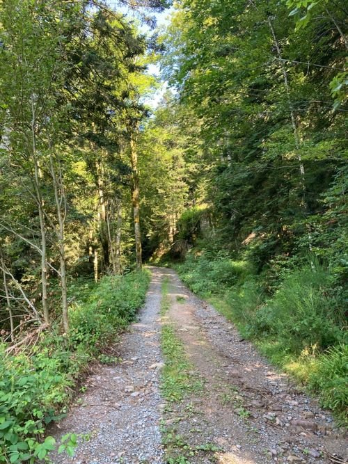 Hiking Lepuix