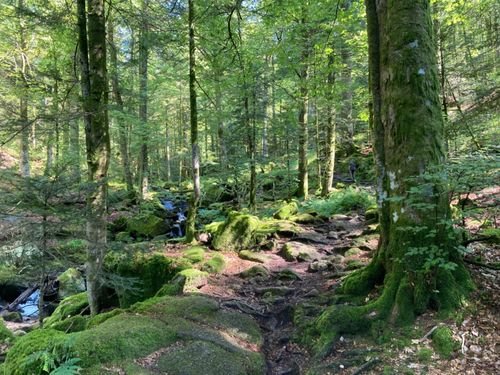 Randonnée Pédestre Lepuix