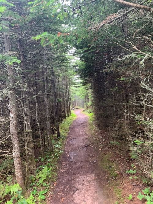 Hiking Quebec