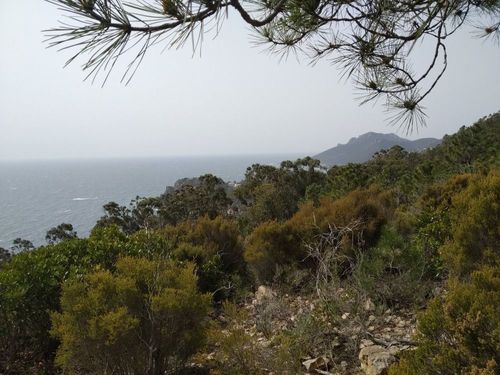 Hiking Théoule-sur-Mer