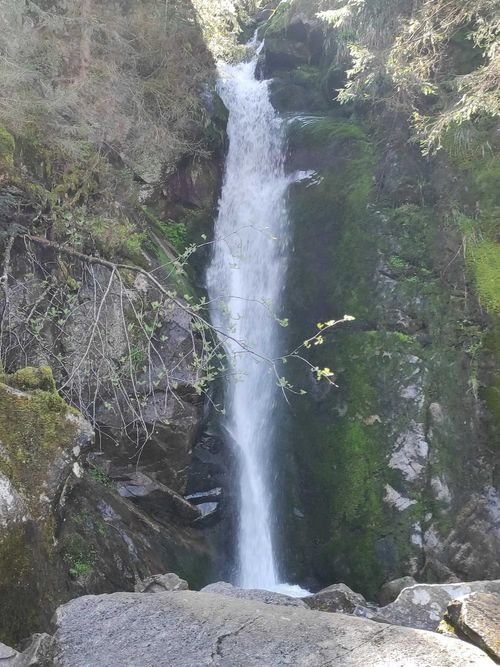 Randonnée Pédestre Vosges