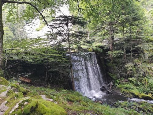 Hiking Grand Est