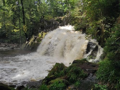 Hiking Vosges
