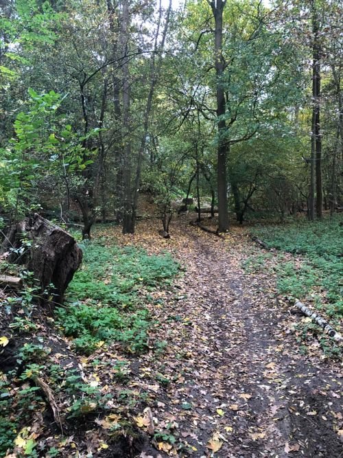 VTT Belgique
