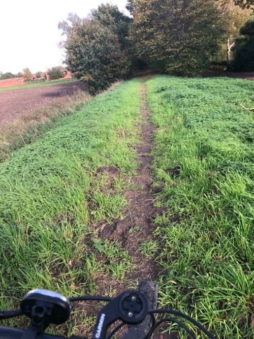 Mountain biking Belgium