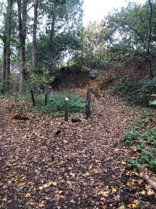 Mountain biking East Flanders