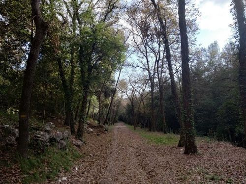 Walking Provence-Alpes-Côte d'Azur