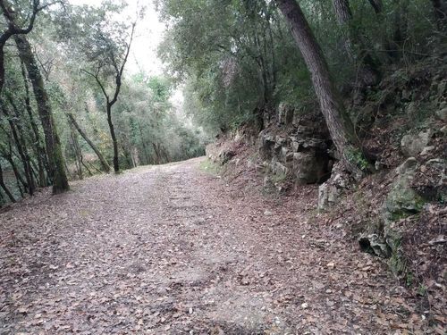 Promenade Roquefort-les-Pins