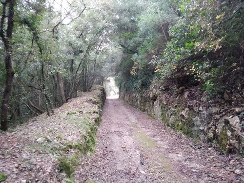 Promenade Alpes-Maritimes