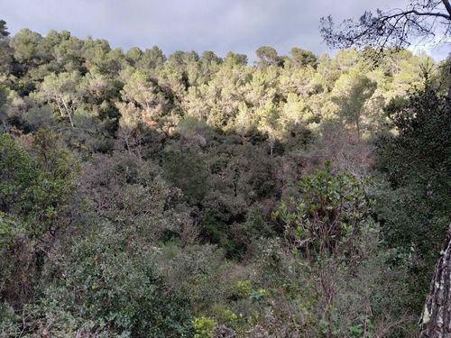 Walking Roquefort-les-Pins