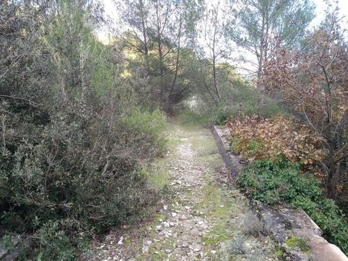 Promenade Roquefort-les-Pins