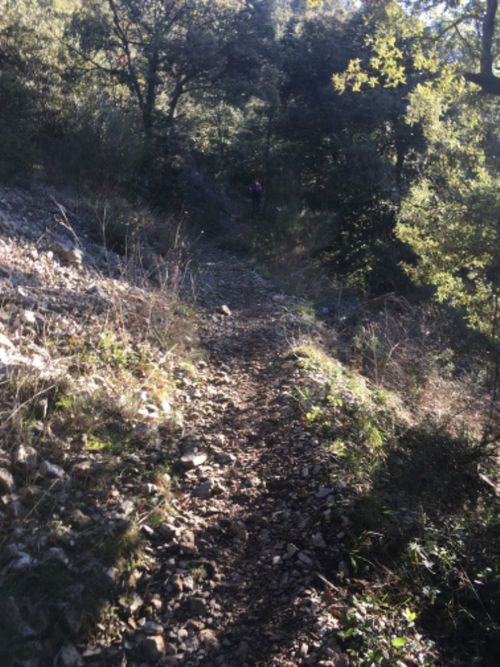 Randonnée Pédestre Courmes