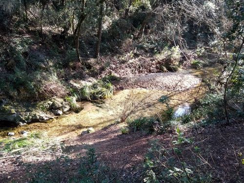 Walking Valbonne