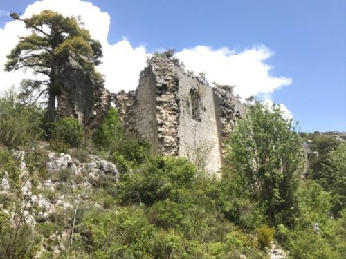 Randonnée Pédestre Alpes-Maritimes