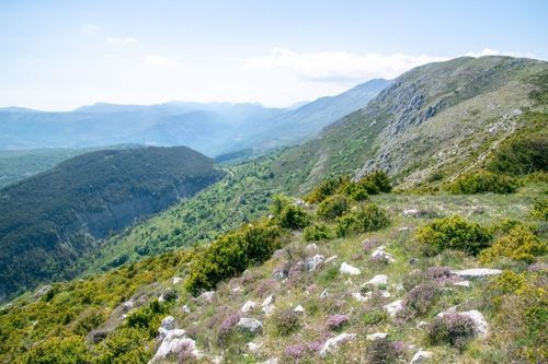 Randonnée Pédestre Coursegoules