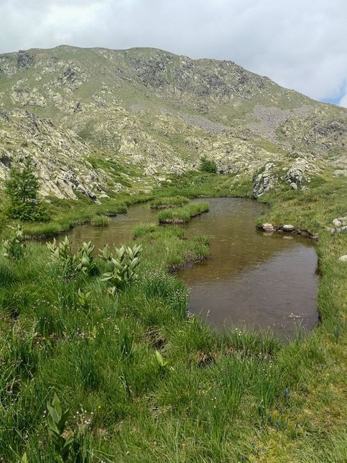 Trek Alpes-Maritimes