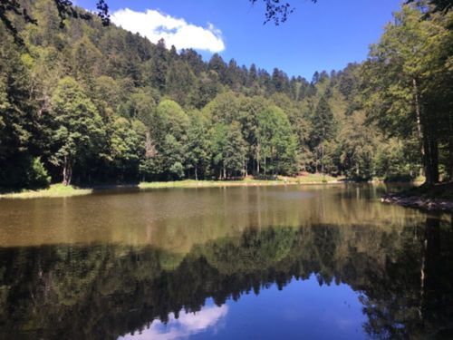 Hiking Haute-Saône