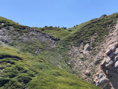 Randonnée Pédestre Savoie Randonnée Pédestre Savoie