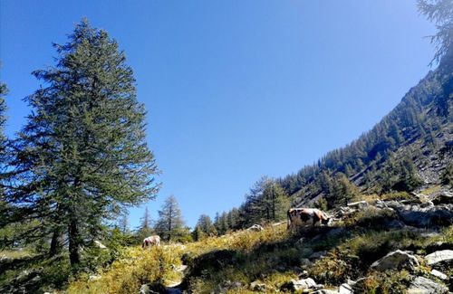 Hiking Tende