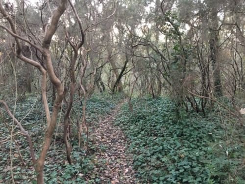 Walking Villeneuve-Loubet