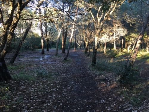 Walking Maritime Alps