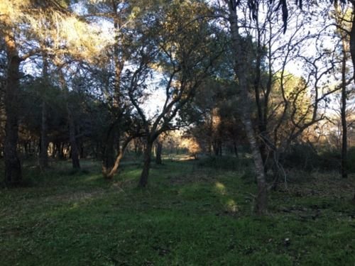 Promenade Villeneuve-Loubet