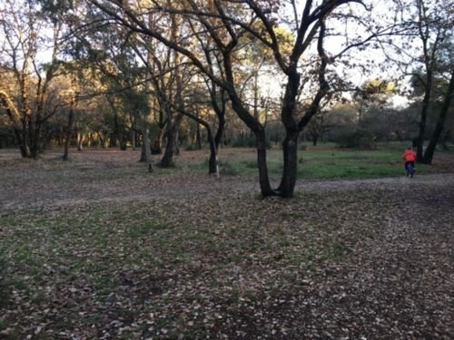 Promenade Villeneuve-Loubet